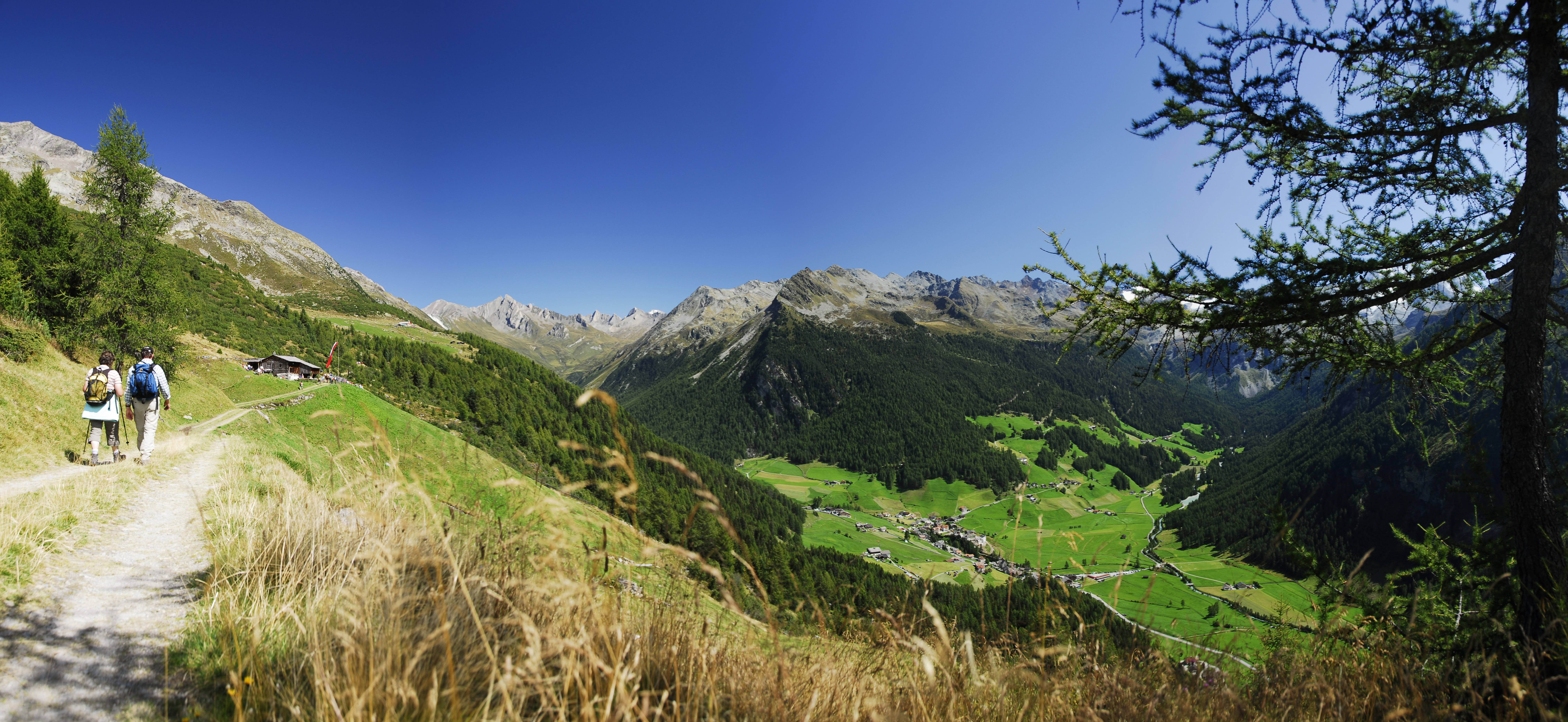 Header 3.jpg