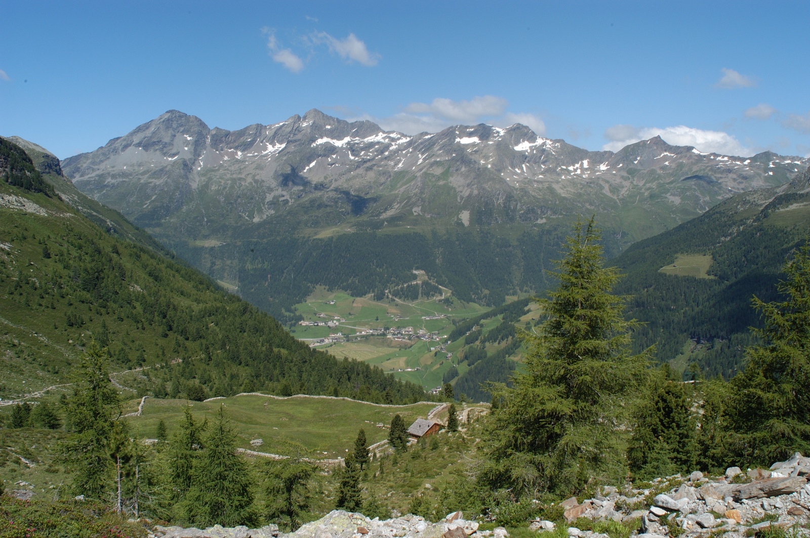Estate