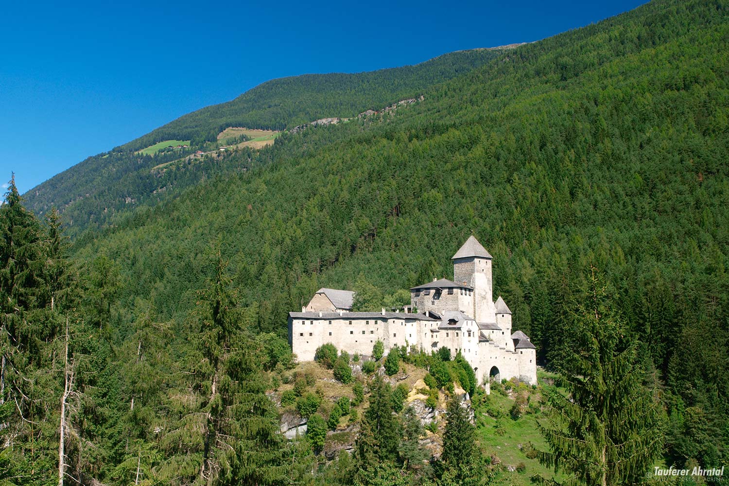 poi(c)tvb-burg-taufers-sommer-4372.jpg